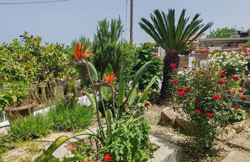 Konstantina's cottage Ideal BaseforBalos & Elafonisi - Photo 36