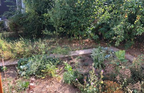 Naturnahes Wohnen in einem alten Haus mit Garten - Foto 53