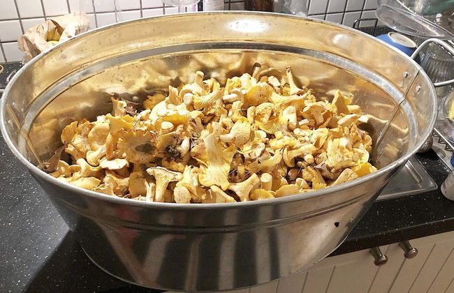 5 Person Holiday Home in Djurhamn-by Traum - Foto 16