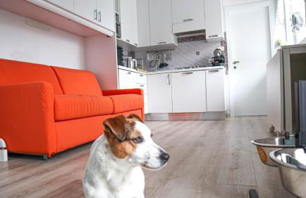 La Casa di Pamy - Foto 19