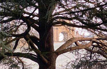 Angel Yard - Foto 14