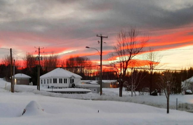 Les Trois Mentors Ghandi, Mandela, Luther King - Foto 9