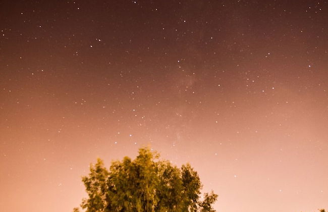 New Kingston Guest Apartments at Seymour - Foto 23