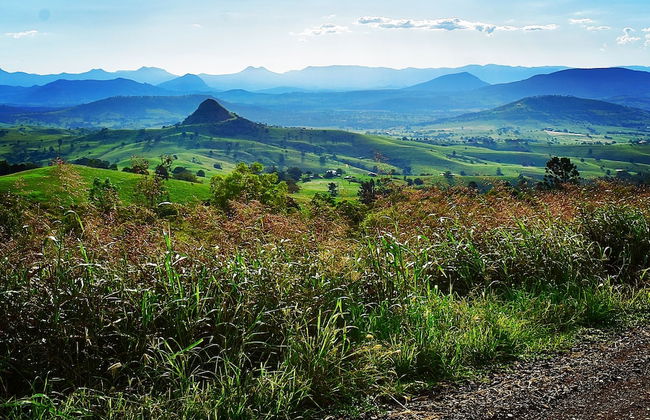 Ketchup's Bank Glamping - Foto 11