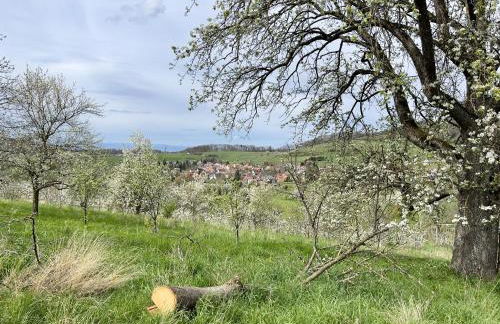 Ferienwohnung Gut Edel - Foto 31