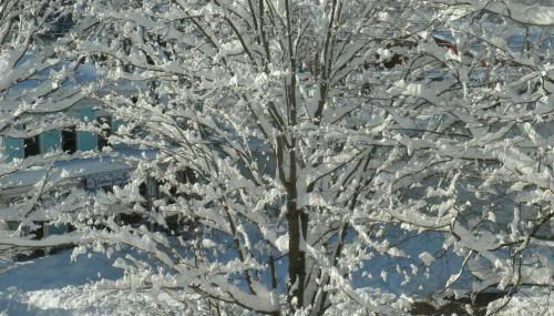 Townhouse W Private Deck & Mt View - Foto 5