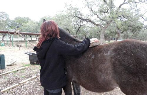 Peaceful Pet-Friendly Cabin Rental in San Antonio Countryside, Texas - Foto 15