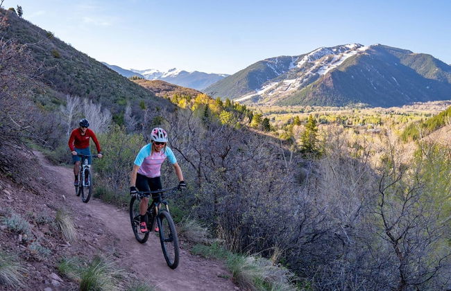 Hayden Lodge by iTrip Aspen Snowmass - Foto 45