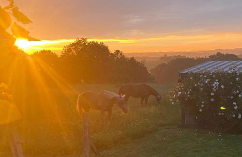 Logement entier de charme, gite équestre GERS Flamarens - Photo 30