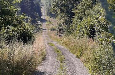 Ferienhaus Hoher Vogelsberg - Photo 3