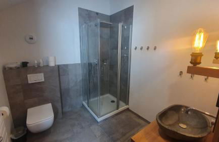 Villa d'exception LA BELLE DES VOSGES 4 étoiles, bain nordique, sauna, billard etc - Foto 25