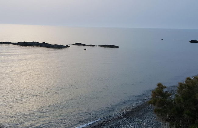 Sun Camero Apartments - Photo 34