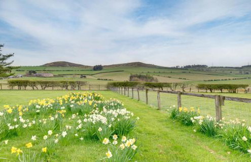 The Granary - Foto 27