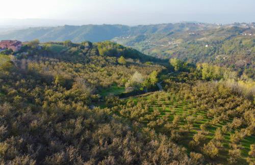 La Rosa di Langa - Charming Panoramic House - Foto 71