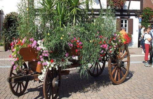 Gîte les Tilleuls Piscine été 2026 - Foto 30