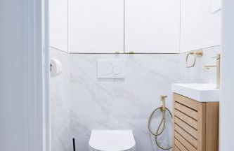 Entire Apartment Central Paris, 3rd floor with elevator - Foto 23