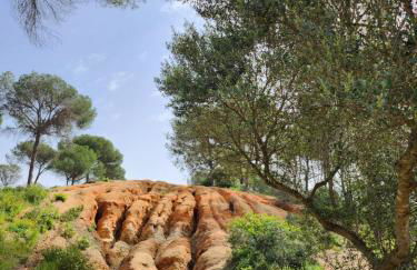 Hacienda Olontigi - Foto 49