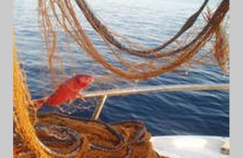 Apartments Vera - Foto 17