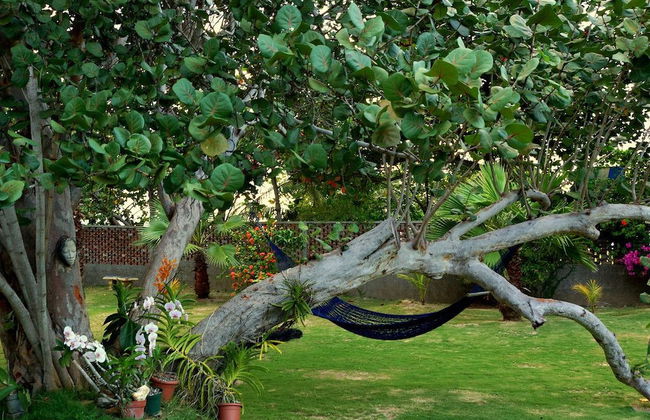 Seagrapes 5br by Jamaican Treasures - Foto 23