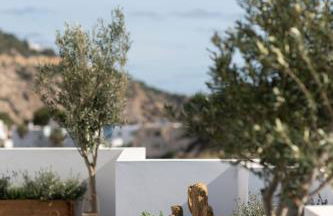 The Olive Boutique Suites and Spa - Foto 52