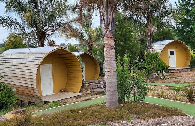 Morning Calm Lodge Limited - Photo 21