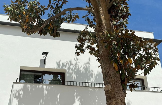 CASA YANGUAS APARTAMENTOS RURALES - Foto 56