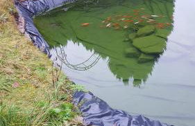 Monteurwohnung Aroba - Foto 44