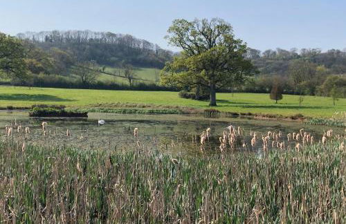 Luxury Barn near Wells - Pool, Gym - Foto 42