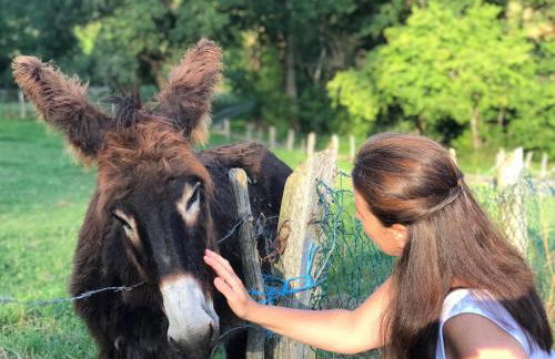 La casita de Olivia Espinaredo - Foto 37