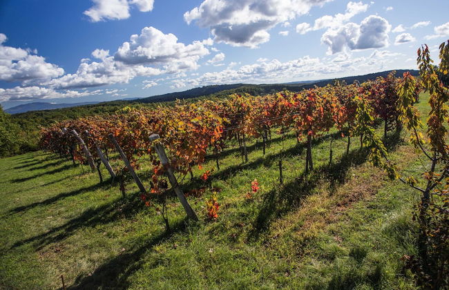 Apartment Baladur - Foto 14