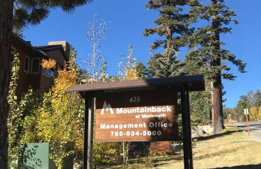 Mountainback #71 - Photo 4