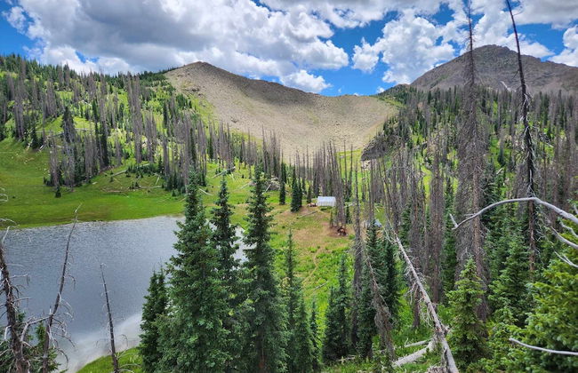 Backcountry Outfitters - Foto 16