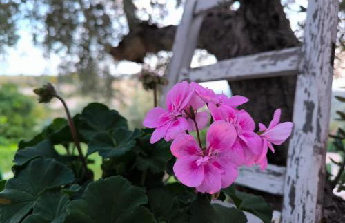 Casa dei Mori oasi di pace - Foto 14