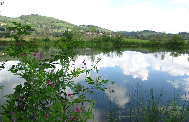 Bulichella - Foto 41