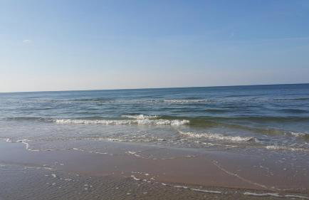 Magico Posto - Foto 53