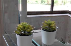 Pé na Aldeia - Foto 19