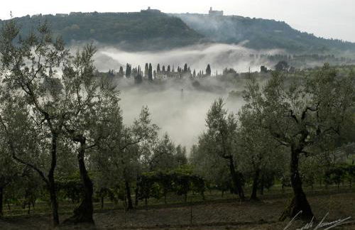 Holiday Home Miranda by Interhome - Foto 122