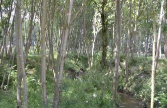 Casa Rural Las Barricas - Foto 50