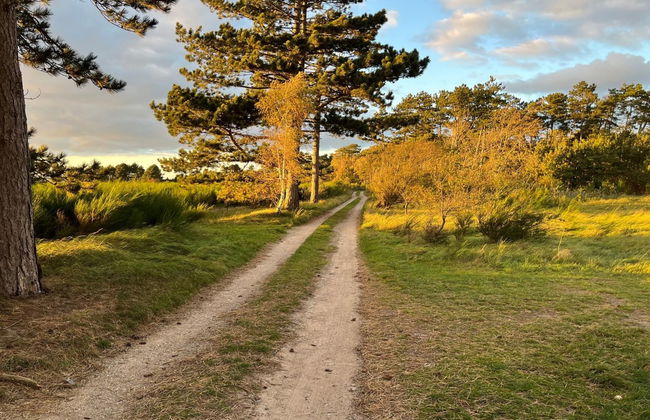 "Fietje" - 200m from the sea - Foto 3