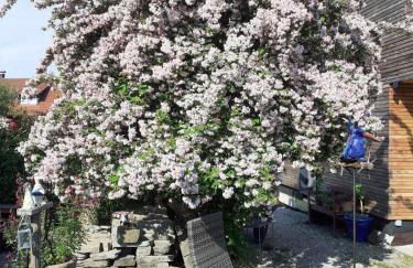 Ferienwohnung-Rotmoosblick-direkt-am-Rande-unberuehrter-Natur - Foto 38