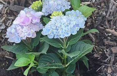 Farmington Gem, fenced yard, sleeps 6 - Foto 39