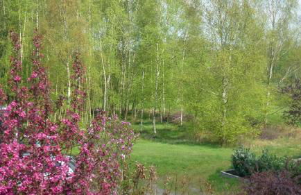 Fewo Ausblick - Foto 8