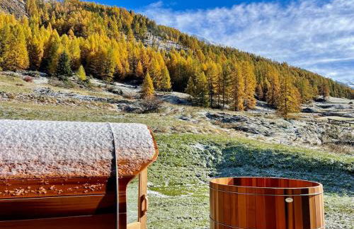 Chalet prestige 14 pers au pied des pistes - Foto 53