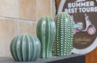 Colosseum superior suites - Photo 25