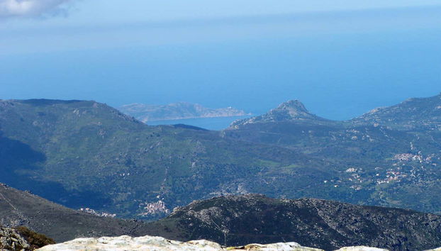 Giussani & Saleccia Beach Day Trip - Foto 4