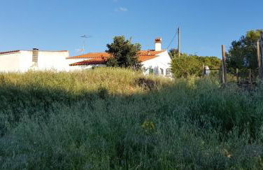 Monte Das Ferrarias - Foto 4