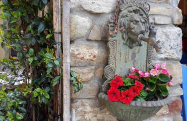 Casale Mansano - Natura e relax nelle colline - Photo 77