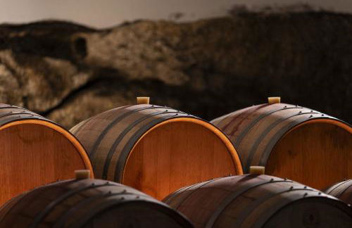 Herdade do Gamito - Foto 41