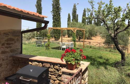 Tenuta Le Mandorlaie, Agriturismo in Scansano - Foto 16