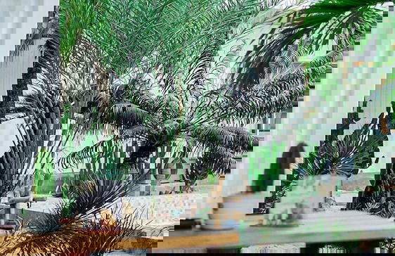 Danka Vacation Home - Foto 36